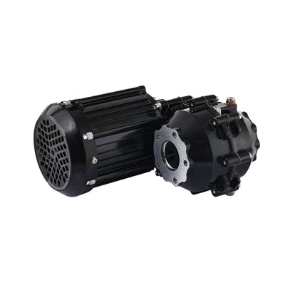 ZD014C 高齢者用レクリエーション車両三輪車モーター